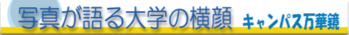 �L�����p�X���؋�
